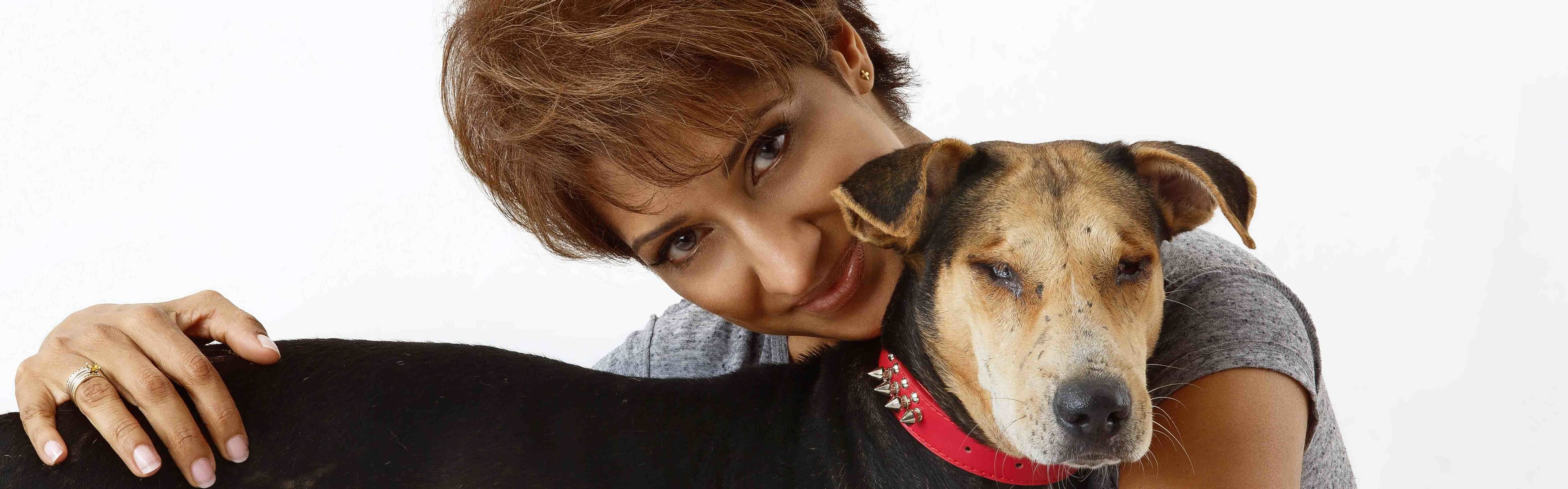 What do Sri Lankan street dogs and fashion have in common as featured in ‘Pets4Life’