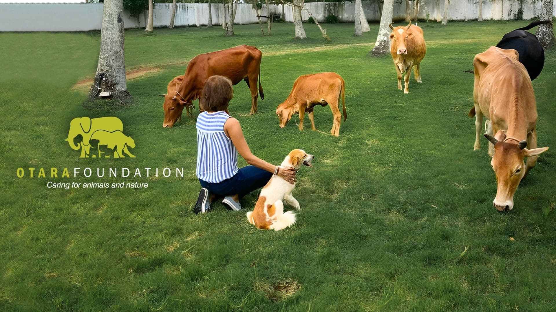 Otara at the Otara Foundation — caring for animals and nature