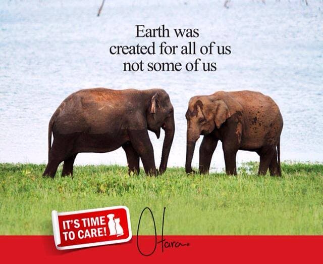 Otara campaign quote