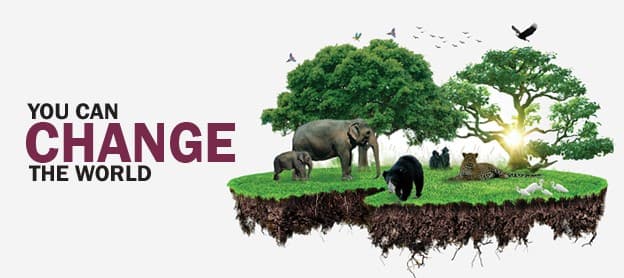 World Environment Day Grant 2015
