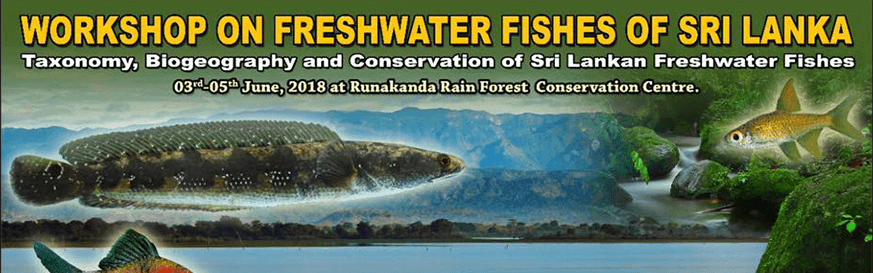 Otara Foundation sponsors Runakanda Rain Forest Freshwater Fish Project
