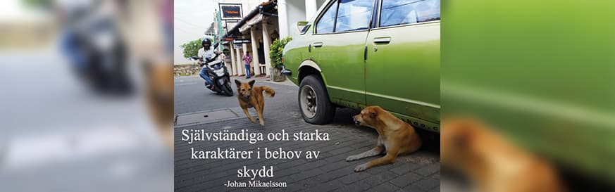 Otara Gunewardene featured in the Swedish Magazine, Sydasien