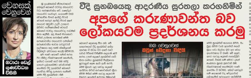 වීදී සුනඛයෙකු ආදරණීය සුරතලා කරගනිමින් අපගේ කරුණාවන්ත බව ලෝකයටම ප්රදර්ශනය කරමු