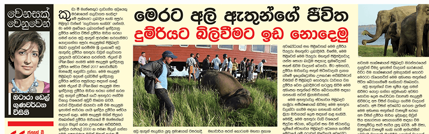 මෙරට අලි ඇතුන්ගේ ජීවිත දුමිරිය වලට බිලී වීමට ඉඩ නොදෙමු.