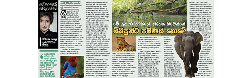 මේ සුන්දර දිවයිනේඅයිතිය තිබෙන්නේමිනිසුන්ට පමණක්නොවේ