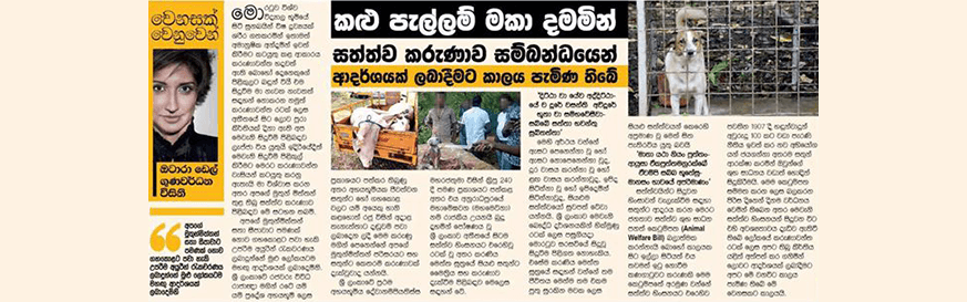 කළු පැල්ලම් මකා දමමින් සත්ත්ව කරුණාව සම්බන්ධයෙන් ආදර්ශයක් ලබාදීමට කාලය පැමිණ තිබේ.