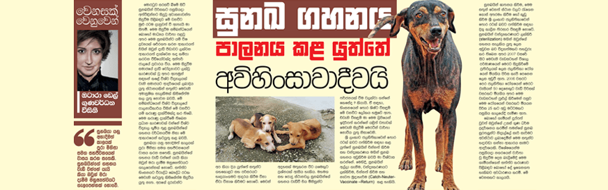 සුනඛ ගහනය පාලනය කළ යුත්තේ අවිහිංසාවාදීවයි