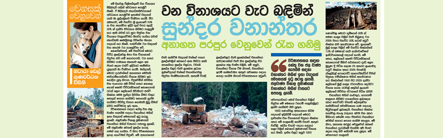 වන විනාශයට වැට බදිමින් සුන්දර වනාන්තර අනාගත පරපුර වෙනුවෙන් රැක ගනිමු